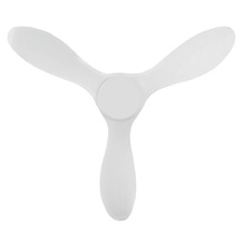 Noosa DC Ceiling Fan with Remote Control
